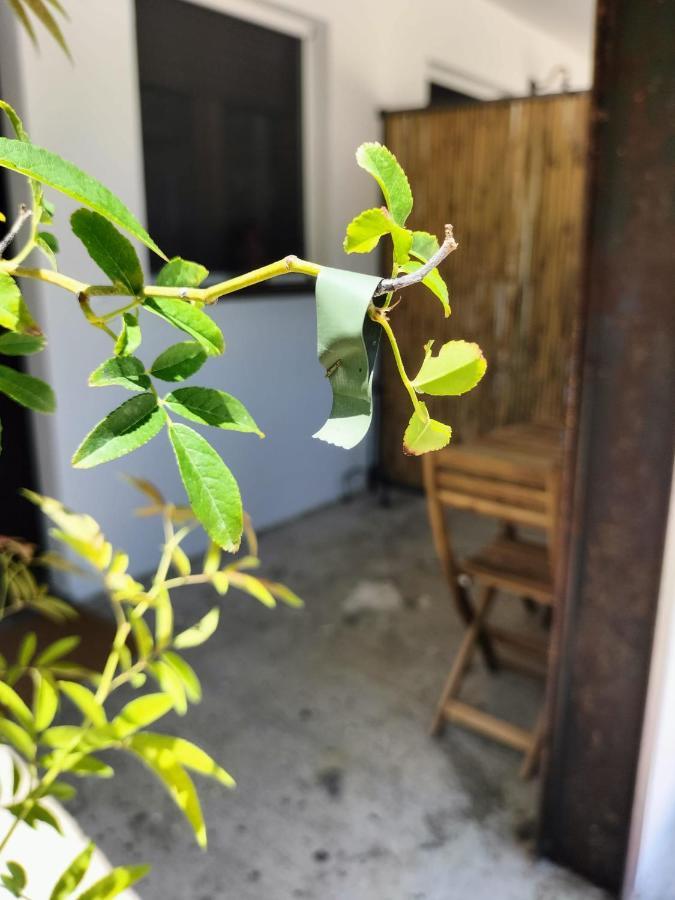 Hotel Casale Orgogliosa San Vito Chietino Zewnętrze zdjęcie